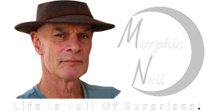 Morphic Neil White
